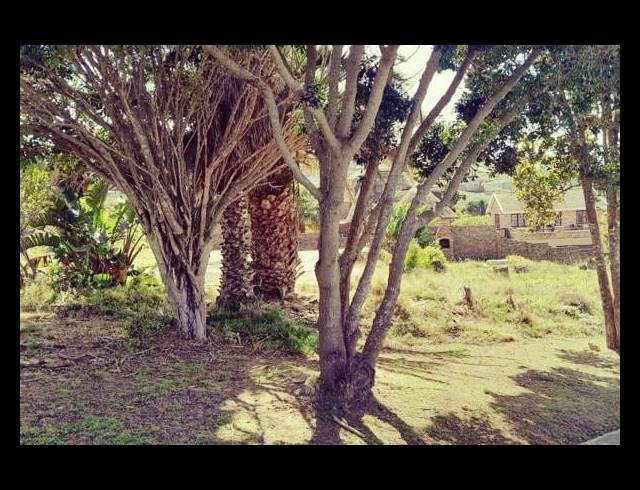893M² VACANT LAND FOR SALE IN DANA BAY